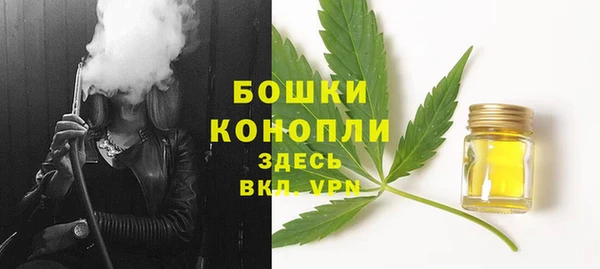крисы Беломорск