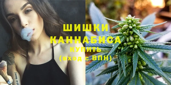 гидропоника Нягань
