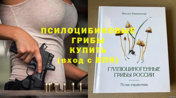 ПСИЛОЦИБИНОВЫЕ ГРИБЫ Белоозёрский