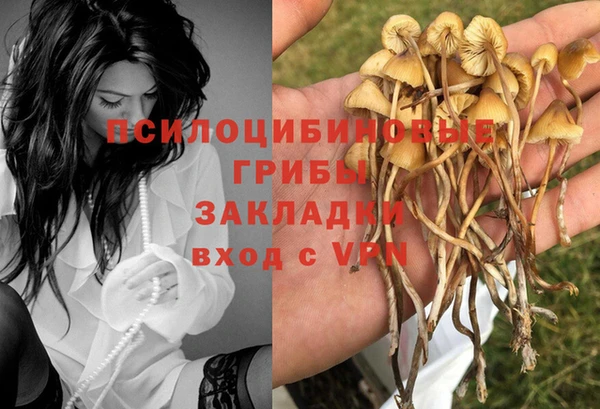 крисы Беломорск