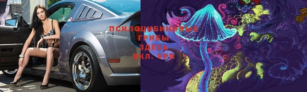 крисы Беломорск