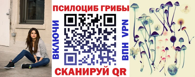 Купить Гремячинск Псилоцибиновые грибы GOLDEN TEACHER